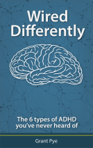 book cover for Wired Differently