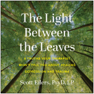 book cover for The Light Between the Leaves