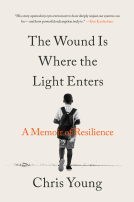 book cover for The Wound Is Where the Light Enters
