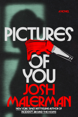 book cover for Pictures of You