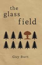 book cover for The Glass Field