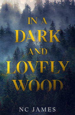 book cover for In a Dark and Lovely Wood