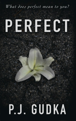 book cover for Perfect