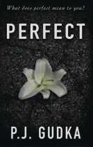book cover for Perfect