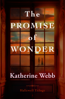 book cover for The Promise of Wonder
