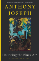 book cover for Haunting the Black Air