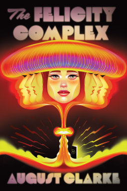 book cover for The Felicity Complex