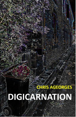 Couverture du livre pour Digicarnation