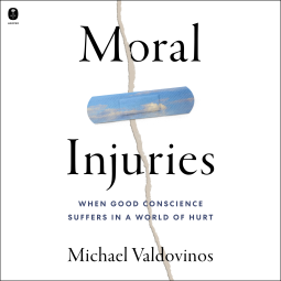 book cover for Moral Injuries