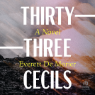 book cover for Thirty-Three Cecils