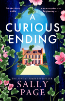 book cover for A Curious Ending