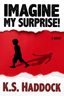 book cover for Imagine My Surprise!