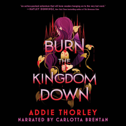 book cover for Burn the Kingdom Down