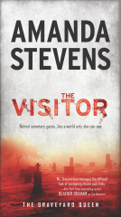 book cover for The Visitor
