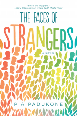 book cover for The Faces of Strangers