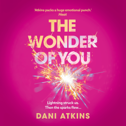 book cover for The Wonder of You