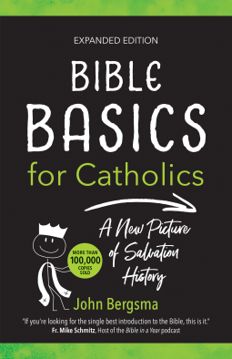 book cover for Bible Basics for Catholics (Expanded Edition)