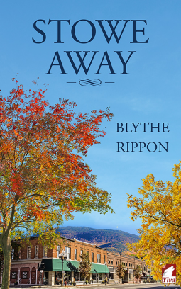 book cover for Stowe Away
