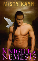book cover for Knight’s Nemesis 
