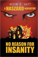 book cover for No Reason For Insanity