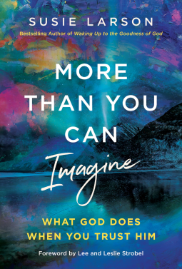 book cover for More Than You Can Imagine