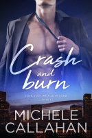 book cover for Crash and Burn
