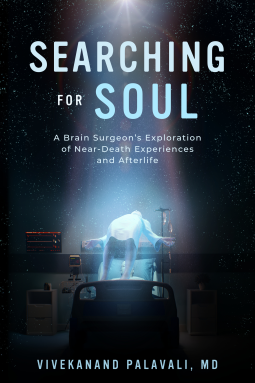 book cover for Searching for Soul