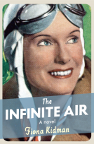 book cover for The Infinite Air