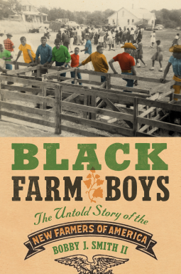 book cover for Black Farm Boys