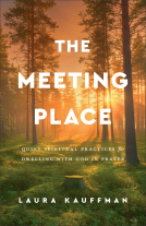 book cover for The Meeting Place