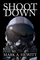 book cover for Shoot Down