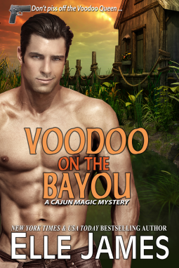 book cover for Voodoo on the Bayou