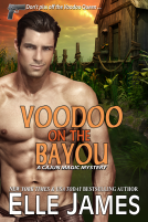book cover for Voodoo on the Bayou