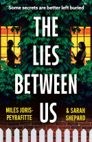 book cover for The Lies Between Us