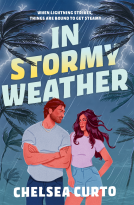 book cover for In Stormy Weather