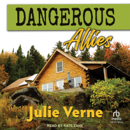 book cover for Dangerous Allies