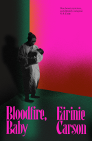 book cover for Bloodfire, Baby