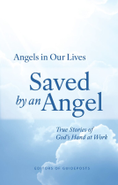 book cover for Saved by an Angel