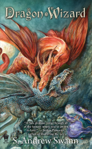 book cover for Dragon Wizard