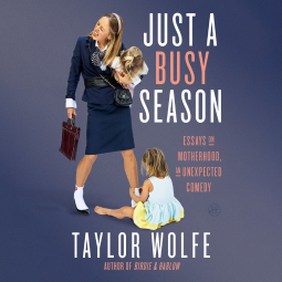 book cover for Just a Busy Season