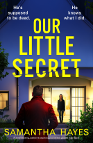 book cover for Our Little Secret