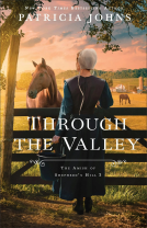 book cover for Through the Valley