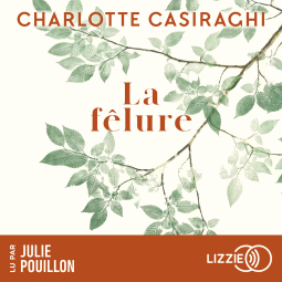 Couverture du livre pour La fêlure