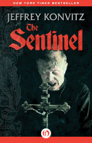 book cover for The Sentinel