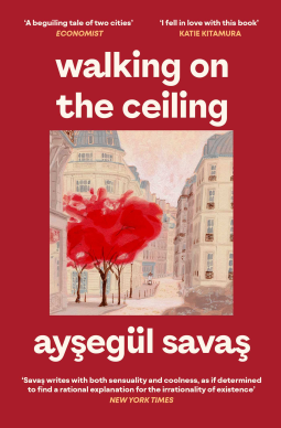 book cover for Walking on the Ceiling