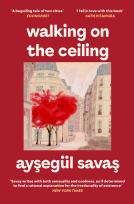 book cover for Walking on the Ceiling