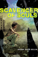 book cover for Scavenger of Souls
