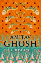 book cover for Ghost-Eye