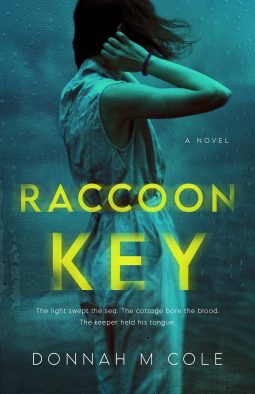book cover for Raccoon Key