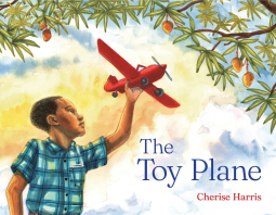 book cover for The Toy Plane